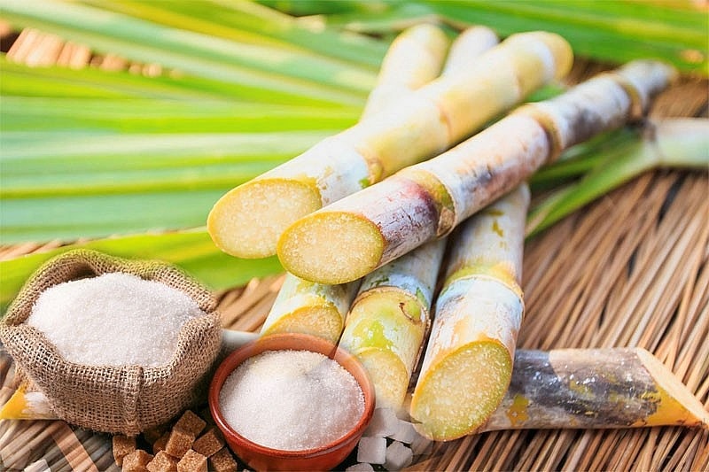 Sản phẩm đường